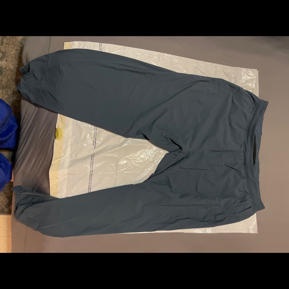 Brand new lulu lemon surge joggers